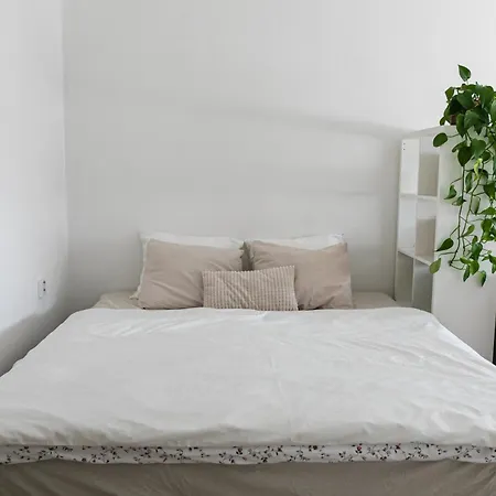 Apartment Cozy 1 Bedroom With A Free Parking Spot